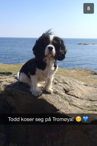 Todd i Arendal 2014